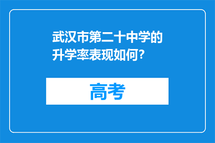 武汉市第二十中学的升学率表现如何？