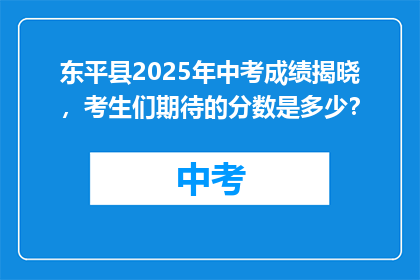东平县2025年中考成绩揭晓，考生们期待的分数是多少？