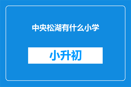 中央松湖有什么小学