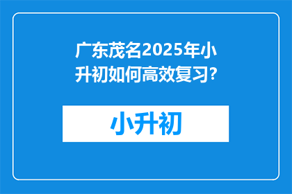 广东茂名2025年小升初如何高效复习？
