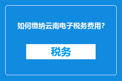如何缴纳云南电子税务费用？