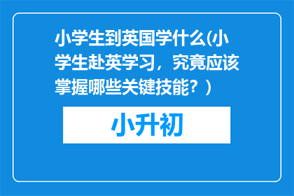 小学生到英国学什么(小学生赴英学习，究竟应该掌握哪些关键技能？)