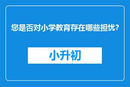 您是否对小学教育存在哪些担忧？