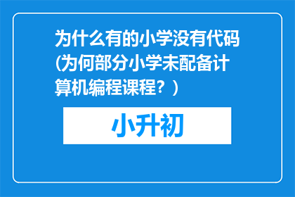 为什么有的小学没有代码(为何部分小学未配备计算机编程课程？)