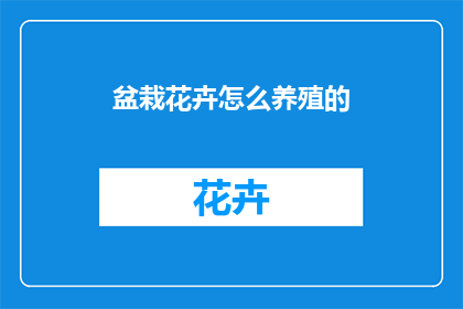 盆栽花卉怎么养殖的