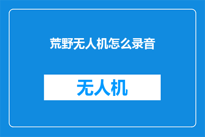 荒野无人机怎么录音