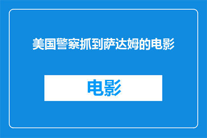 美国警察抓到萨达姆的电影(美国警察如何成功抓捕萨达姆？)